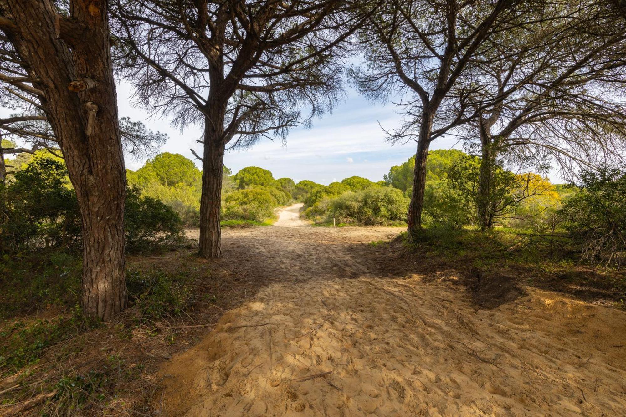 Cozy Beach Studio Retreat Near Lisbon With Sea View Almada Esterno foto